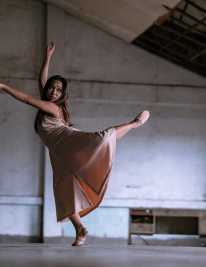 Enseñanza Profesional